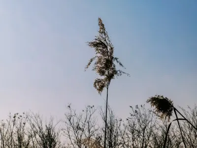 Bit4win Kasino Mobiilisovellus